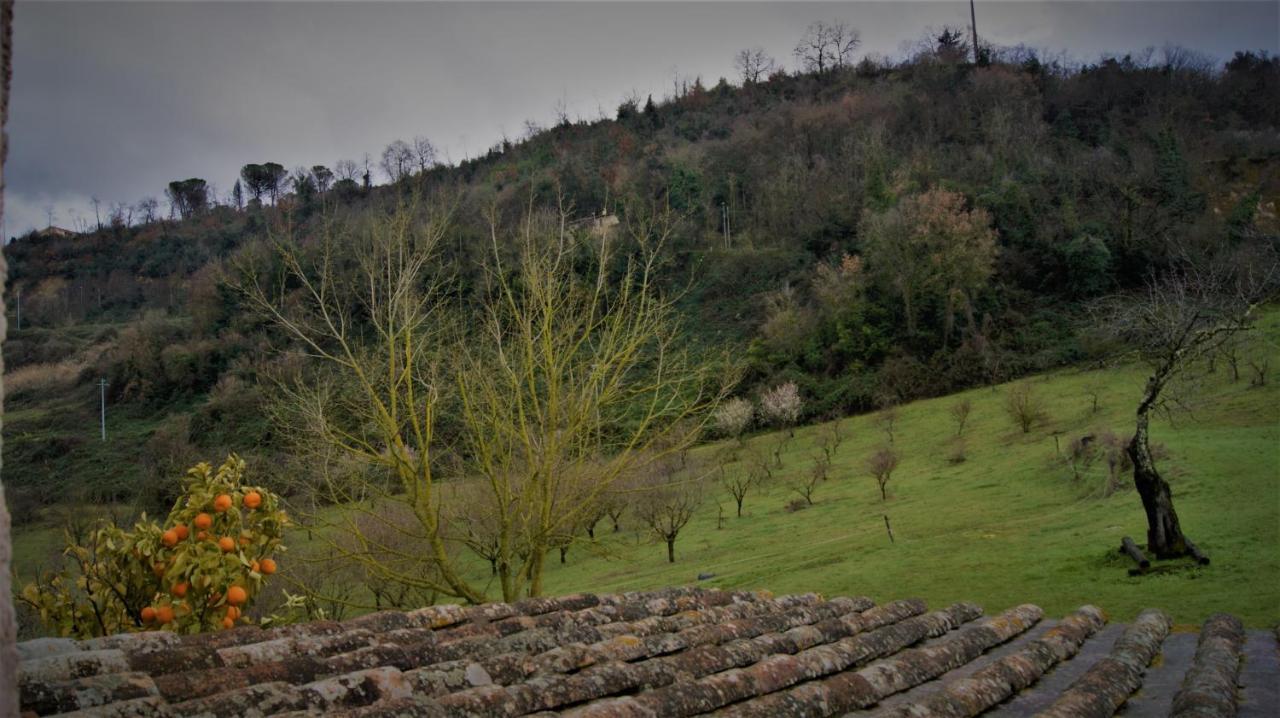 Agriturismo Monterone Ponzano Romano Exteriér fotografie
