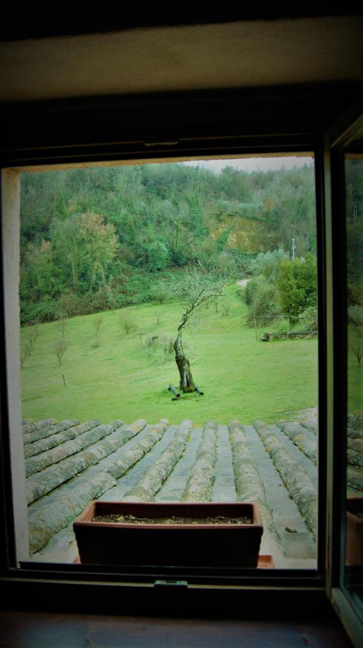 Agriturismo Monterone Ponzano Romano Exteriér fotografie